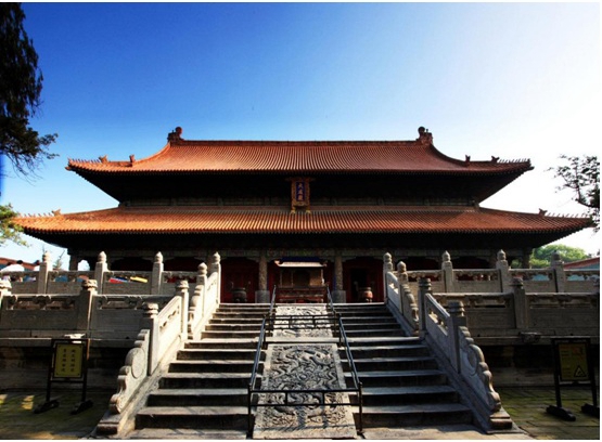 真驴皮,真驴皮胶