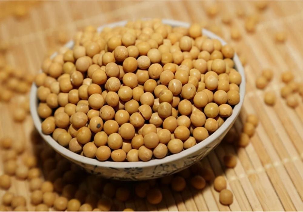 鸽鸽开始拉稀是什么原因,鸽子拉稀能喂幼鸽吗