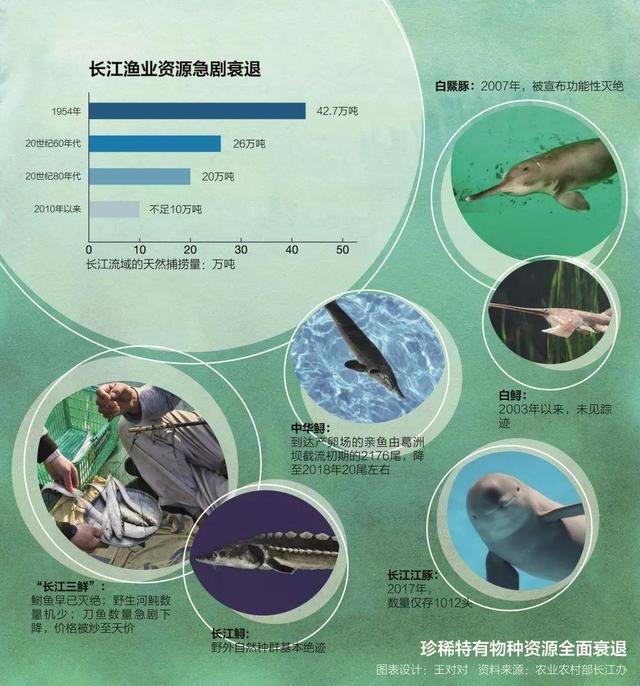 十年禁渔成功案例,十年禁渔渔民损失惨重