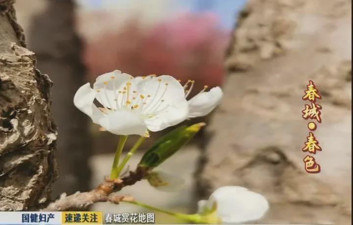 长春百花园游玩攻略,长春的百花园冬天的景色