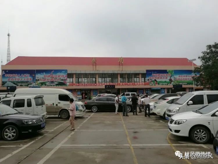 武功师范求学记「张军厚」