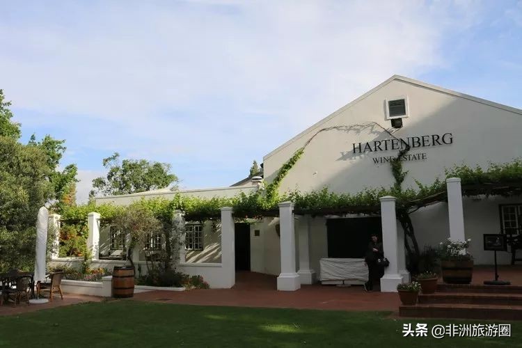 南非有什么葡萄酒好喝又便宜,南非葡萄酒品种