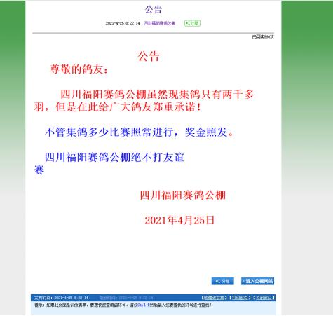 赛鸽公棚深度分析,赛鸽公棚是靠什么赚钱