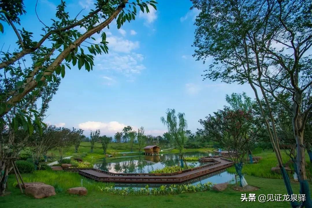 gdp上半年增长2.5,gdp同比增长4.9延续强劲复苏态势