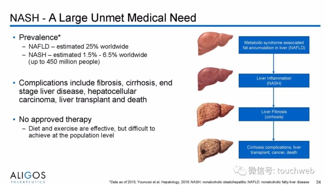 治乙肝的Aligos冲刺美股：拟募资上亿美元路演PPT曝光
