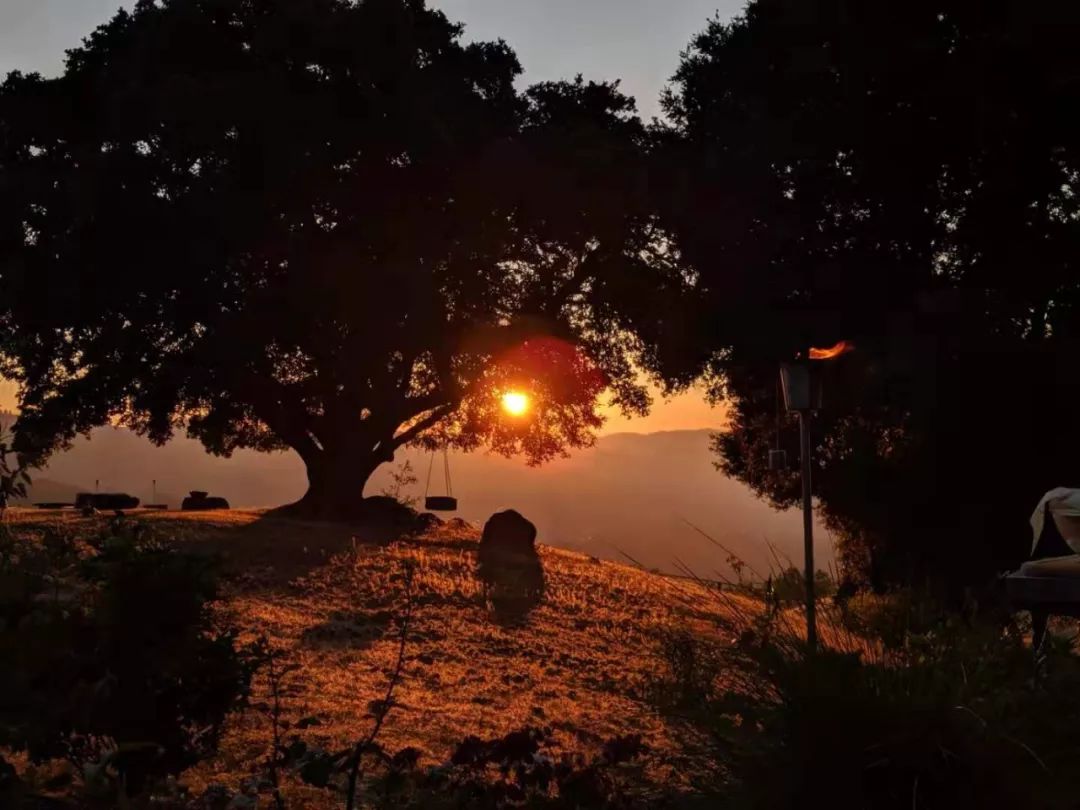 特写|当硅⾕CFO成为瘫痪的哑巴