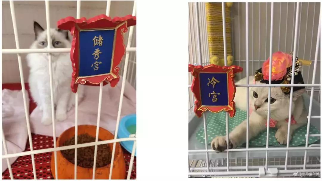 国货大推荐：这些好用到爆的国货扛把子，分分钟秒杀国外大牌！