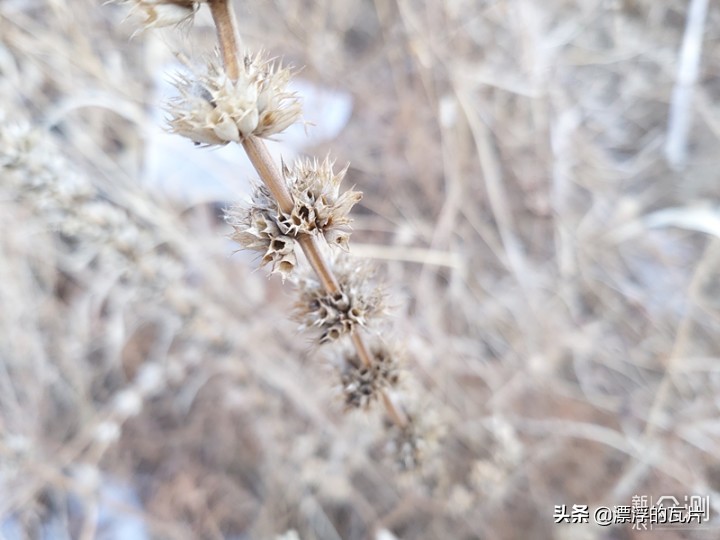 三星galaxya8s参数配置详情,三星a8s有哪些优缺点