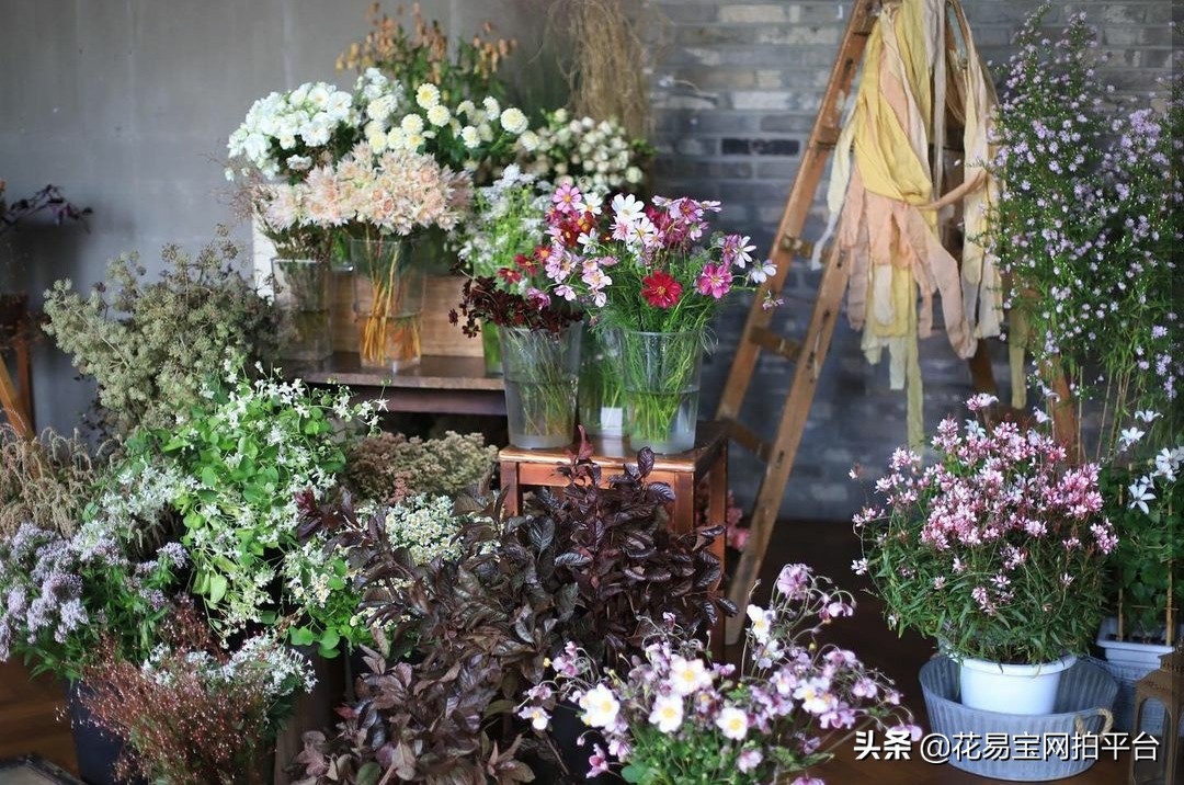 花店如何建立供应链,开花店需要了解的花知识