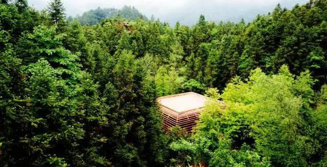 特色树屋民宿度假屋设计方案,很有创意的木屋