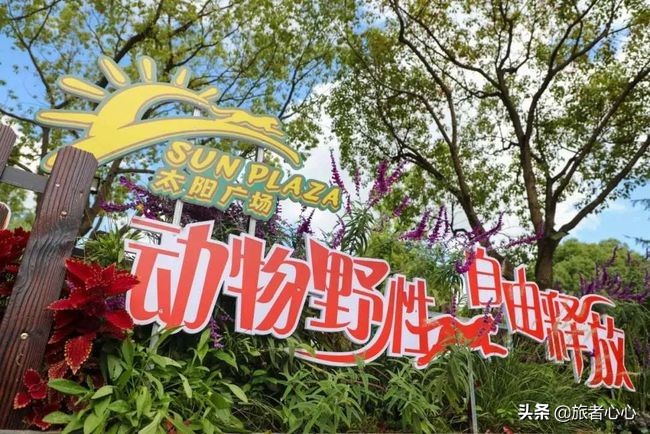 日本最危险的动物园进去视频,日本生死状动物园