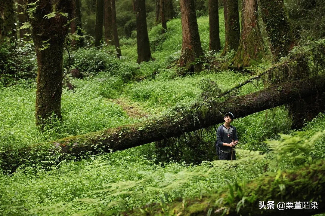 我们经历的13岁｜逃离忧伤｜仰望星空—《星空》影评