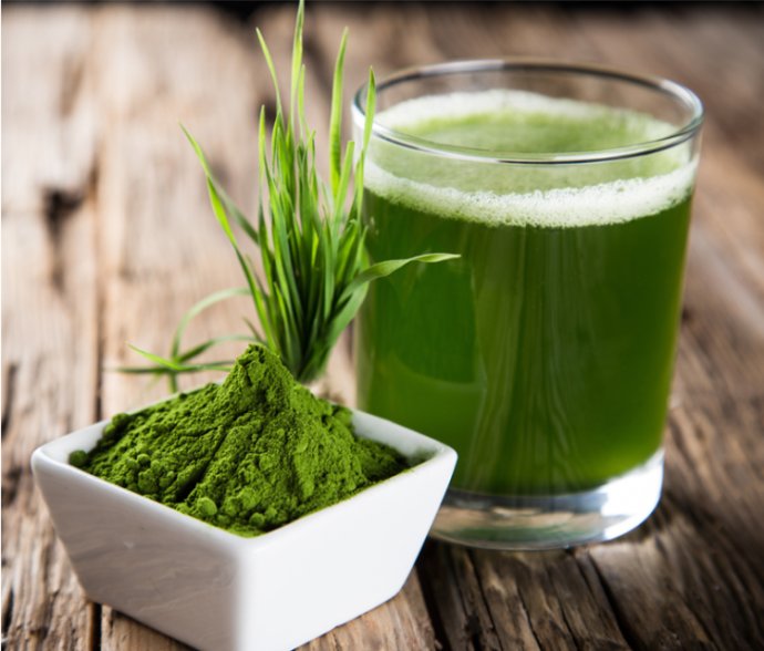 陈舵主视频完整版,陈舵主