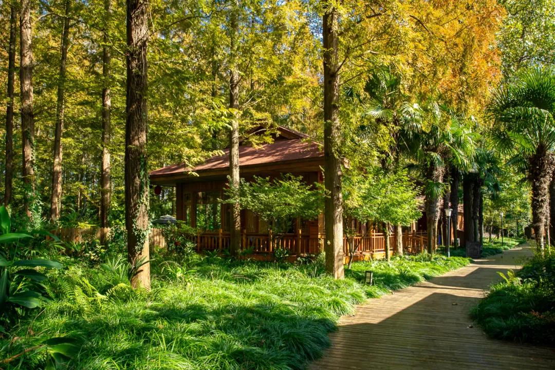 足不出沪的假期,足不出沪游上海