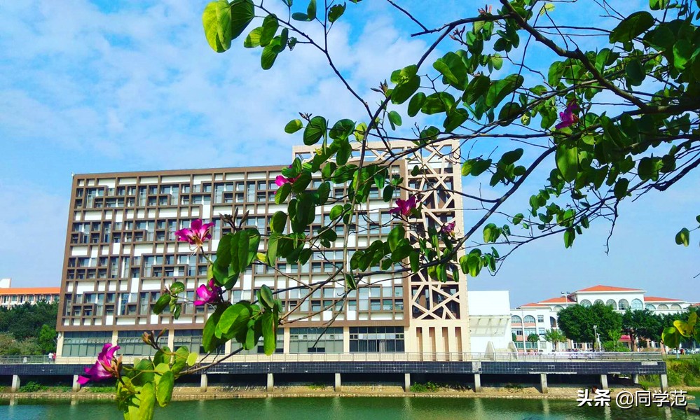 国内最值得报考的十所二本高校,6所实力不错的二本高校