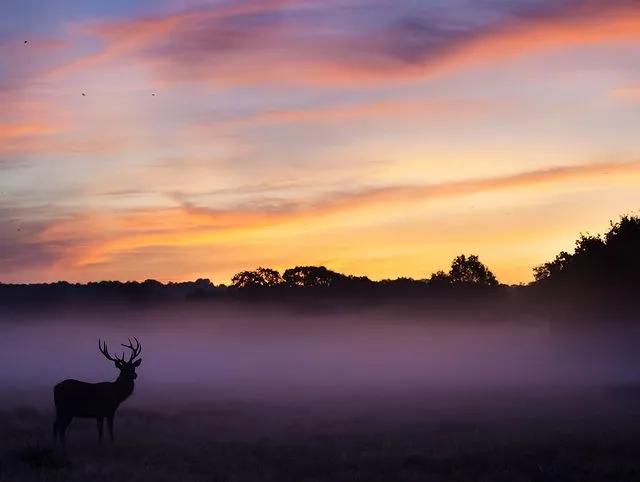葬礼当天，她成为了四个孩子的“后妈”，网友：这是童话故事吧