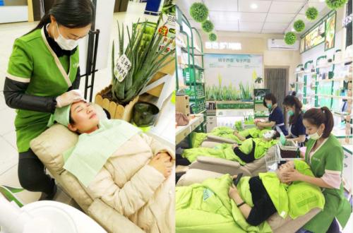 芭芭多美容产业新发展,芦荟产业链