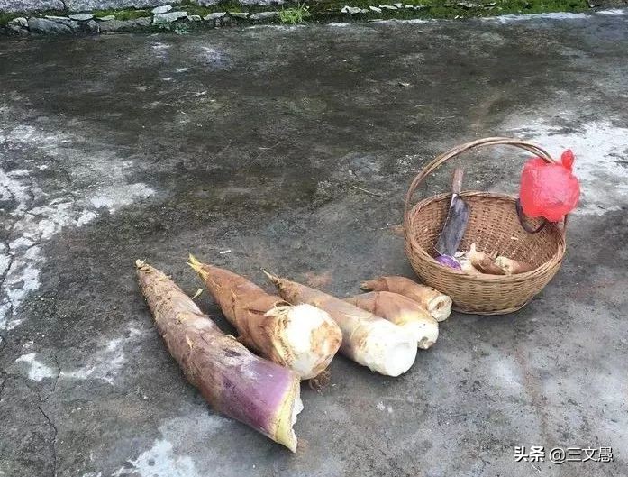 当角们走近东屏|浙江台州三门县雨中漫步游记