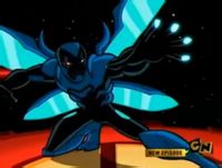 dc宇宙人物大全,dc鲨鱼王人物介绍