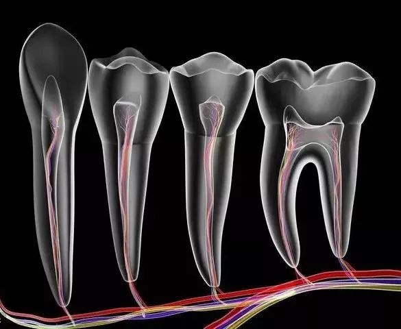 牙蛀了要补吗,牙齿蛀了一点需要补牙吗