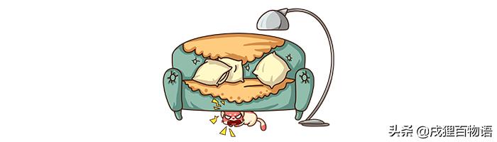 如何让狗狗变得温顺听话,怎么让家里的狗狗接受新来的狗狗