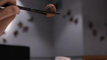 一条鱼卖出12000000份！这家人气鱼锅终于来合肥啦