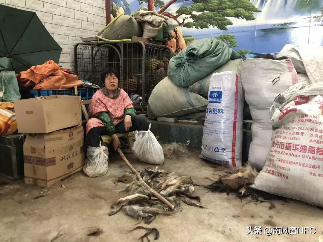 假发之都许昌视频,假发之都许昌哪里