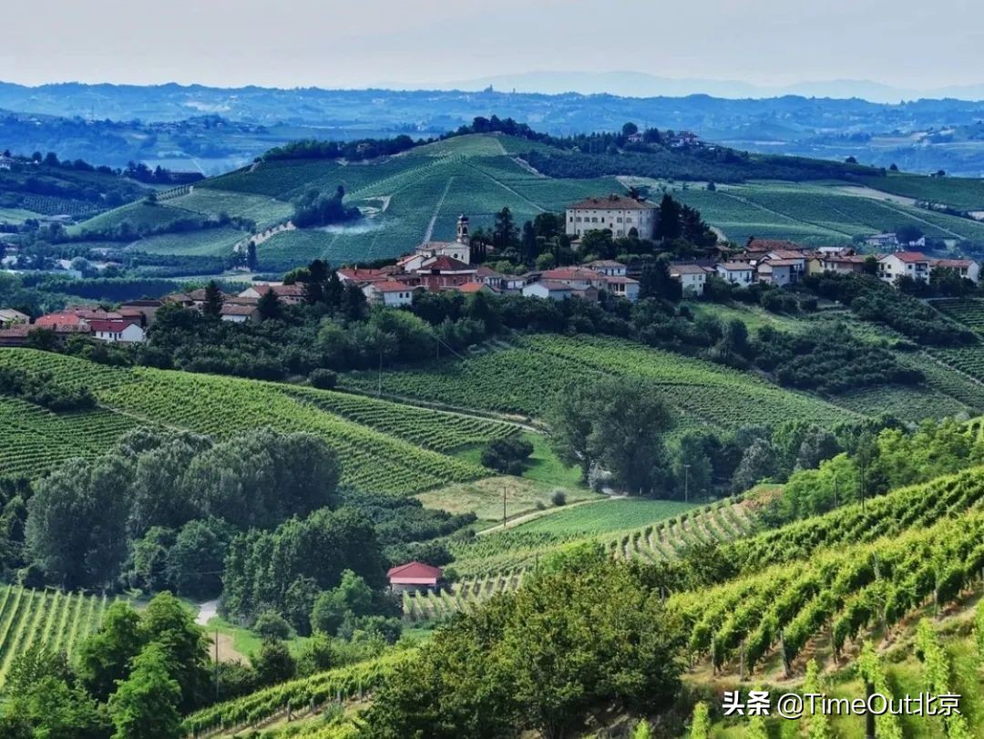 一杯充满正能量的酒,一杯有味道的酒