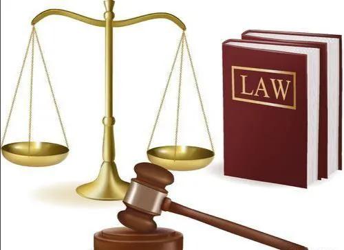 民法典养狗管理是哪条规定,民法典有关于养狗的条款吗