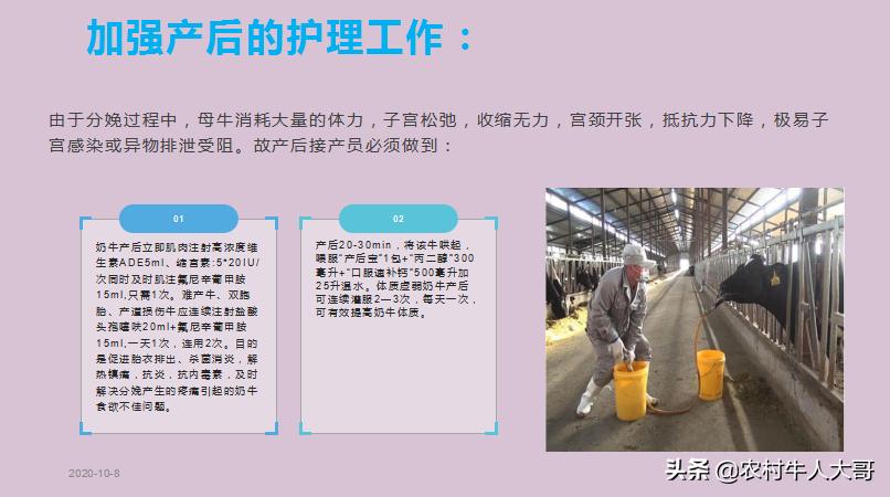 奶牛产后子宫净化保健实施方案ppT课件