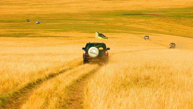 坝上秋色之金色草原,坝上金色草原风景