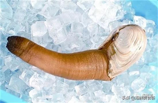 十种最美味海鲜,100种常见海鲜大全图