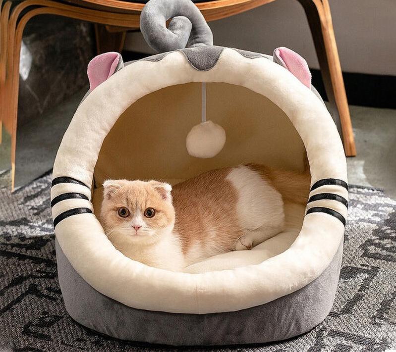 猫咪泪痕分泌物红棕色,猫咪的泪痕把毛染黄了