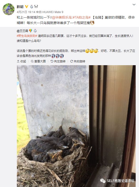 科学家如何观察植物,鸟类的研究方法