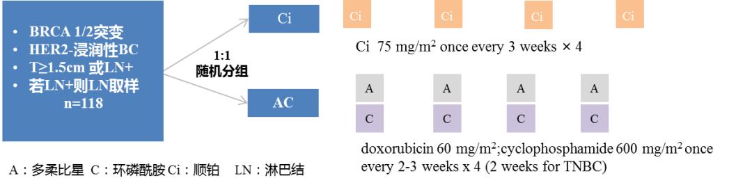 三阴性乳腺癌新辅助治疗迎来「铂」时代！