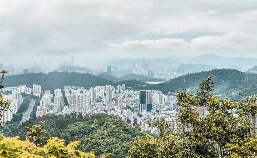 附近莲塘,附近的莲塘