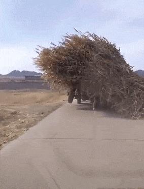 设计师脑洞大奇葩设计,脑洞大的设计师奇葩设计