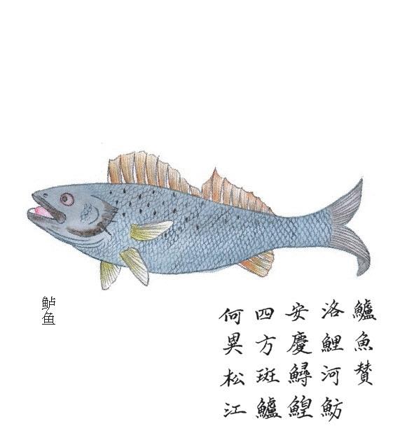 故宫烧脑奇书,故宫恐怖小说