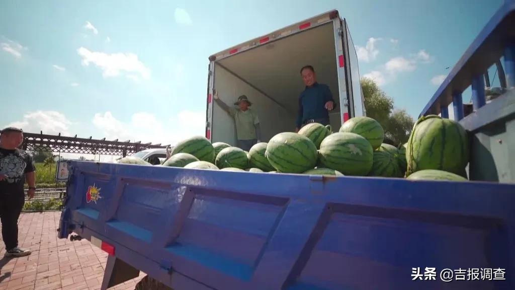 那丹伯镇西瓜,东丰县那丹伯镇十八道村