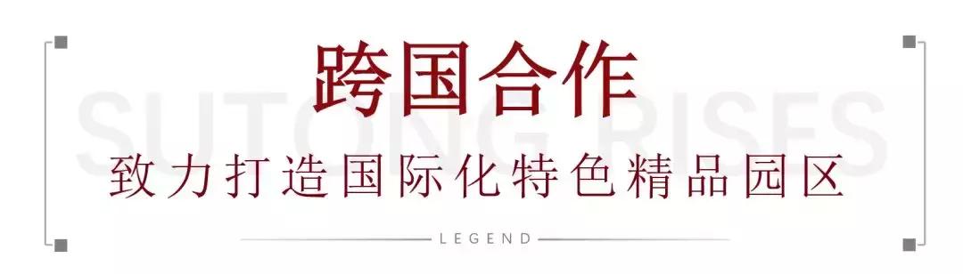 大赞！大型国际组织到访苏通！园区跃升跨国合作“新地标”...