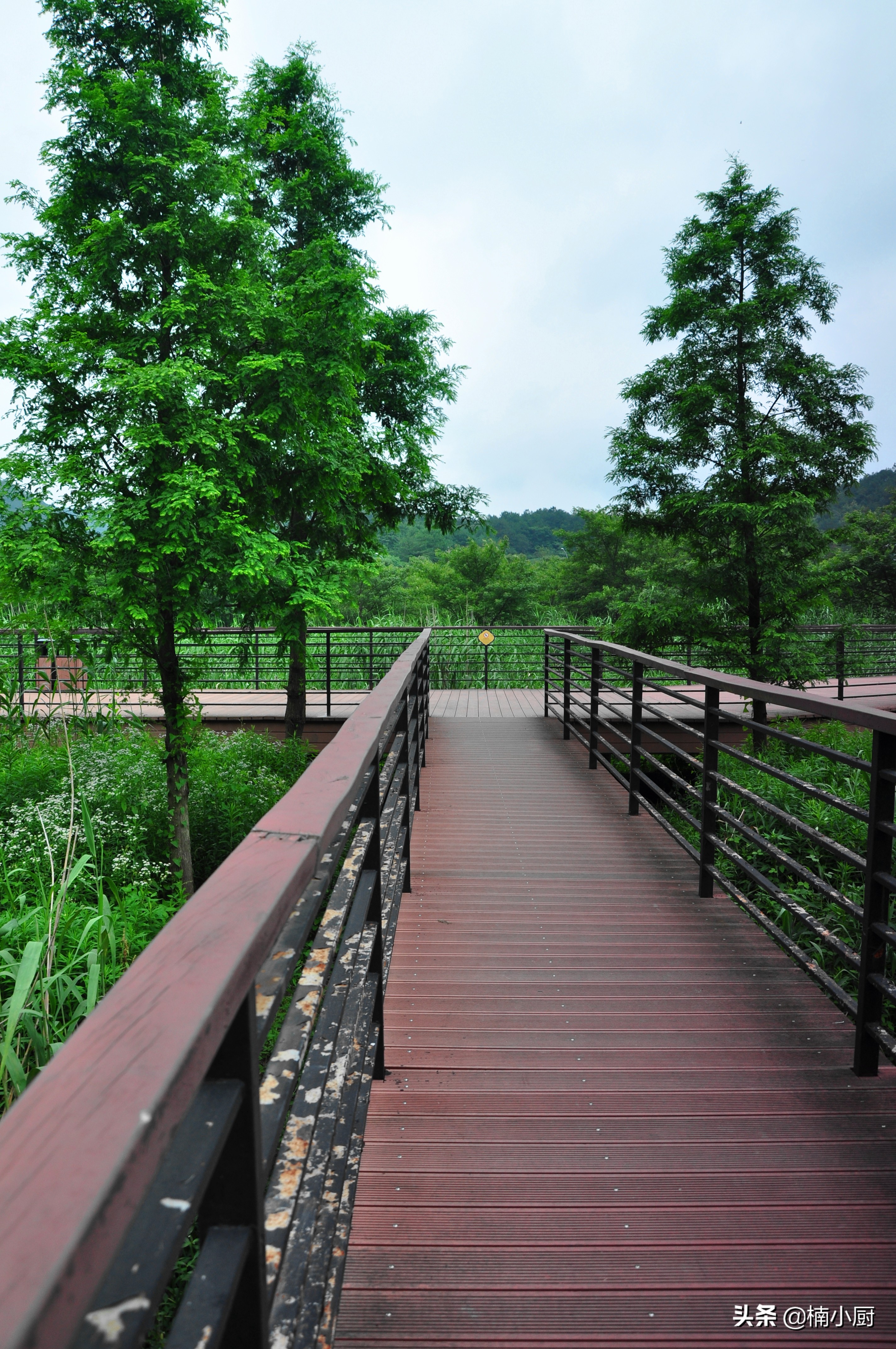 宁波旅游东钱湖,旅行宁波