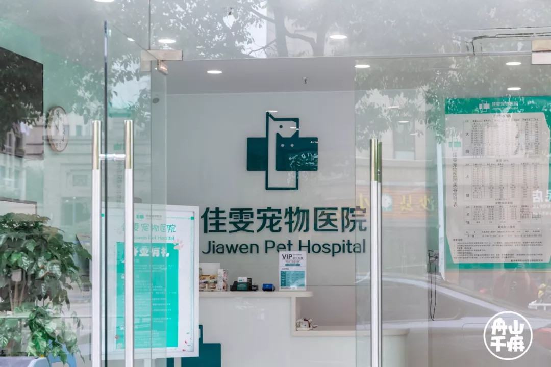 新瑞鹏深度分析,新瑞鹏和佳雯