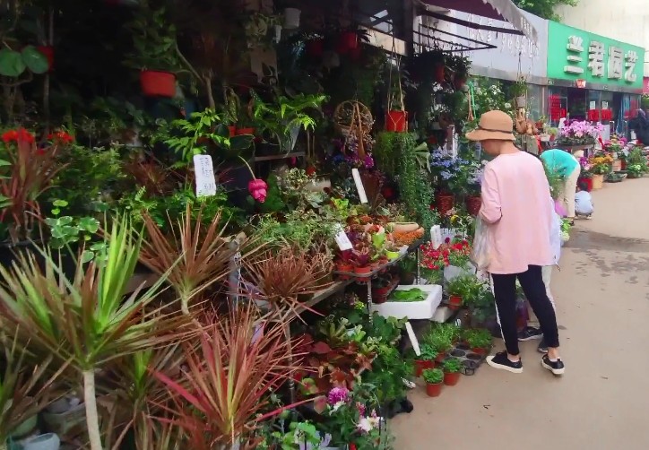 <html>
<head><title>502BadGateway</title></head>
<body>
<center><h1>502BadGateway</h1></center>
<hr><center>nginx</center>
</body>
</html>
<!--apaddingtodisableMSIEandChromefriendlyerrorpage-->
<!--apaddingtodisableMSIEandChromefriendlyerrorpage-->
<!--apaddingtodisableMSIEandChromefriendlyerrorpage-->
<!--apaddingtodisableMSIEandChromefriendlyerrorpage-->
<!--apaddingtodisableMSIEandChromefriendlyerrorpage-->
<!--apaddingtodisableMSIEandChromefriendlyerrorpage-->
