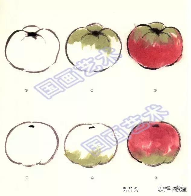 八种常见蔬菜画法,各种蔬菜画法