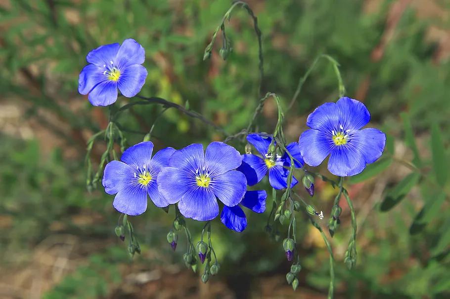 全部的成语收藏起来回家教给孩子,如何和孩子一起积累成语