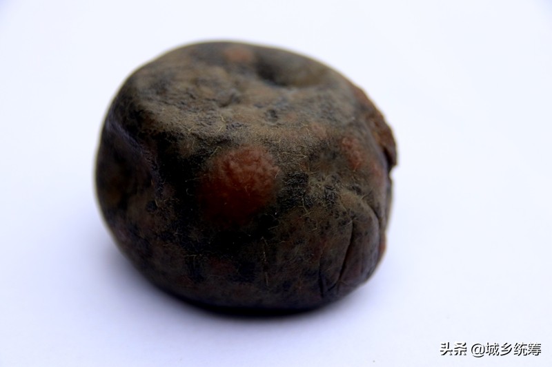 孙先生喜获鸡蛋一般大小的“鸡宝”