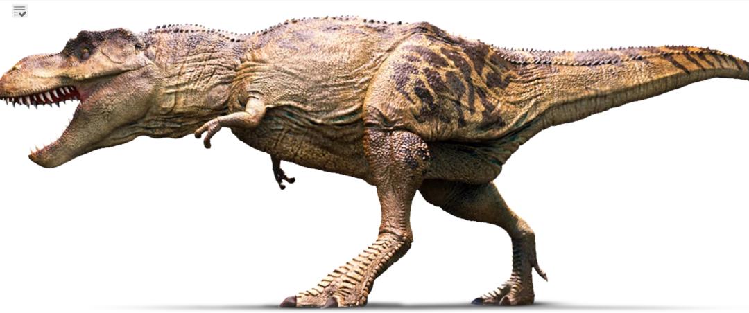 全免费的百科知识网站——DKFindOut!