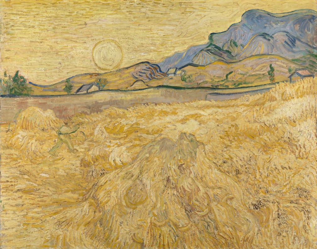 梵高一笔醒图,梵高发疯前最后一幅画