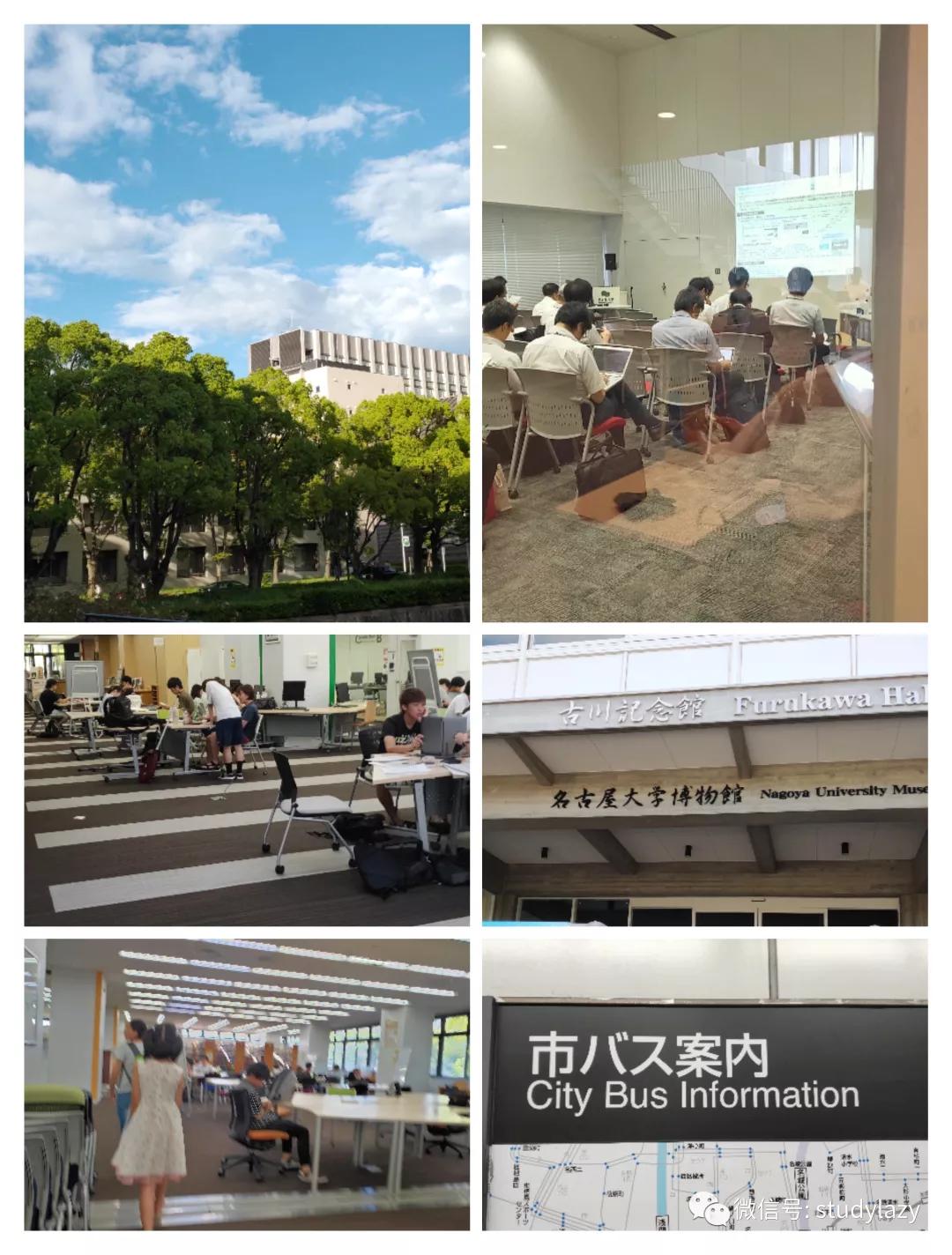 日本名古屋鲸,日本名古屋樱花