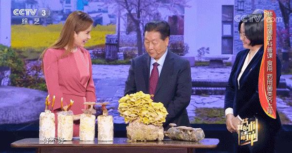 鎴戠殑鑹烘湳娓呭崟2018,鎴戠殑鑹烘湳娓呭崟鑳屽悗鏁呬簨